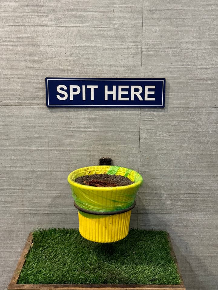 Paan