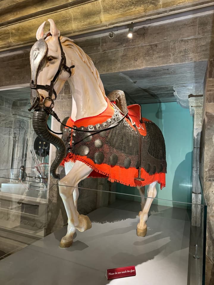 Horse armor