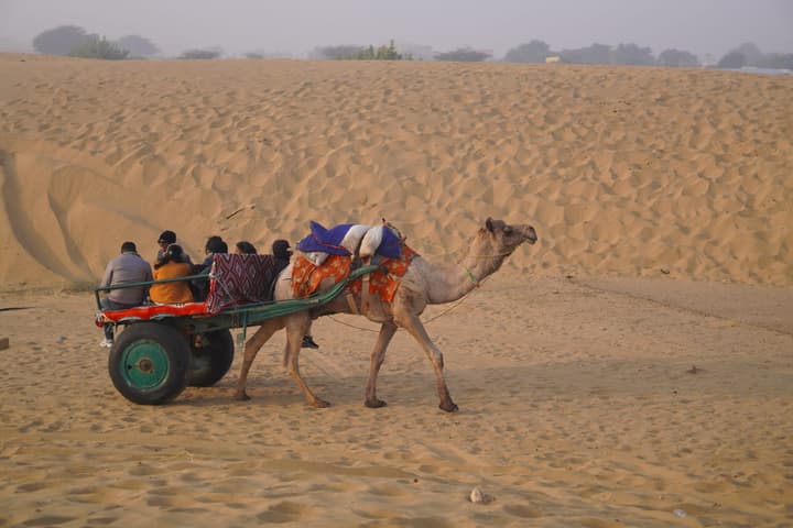 Local transport